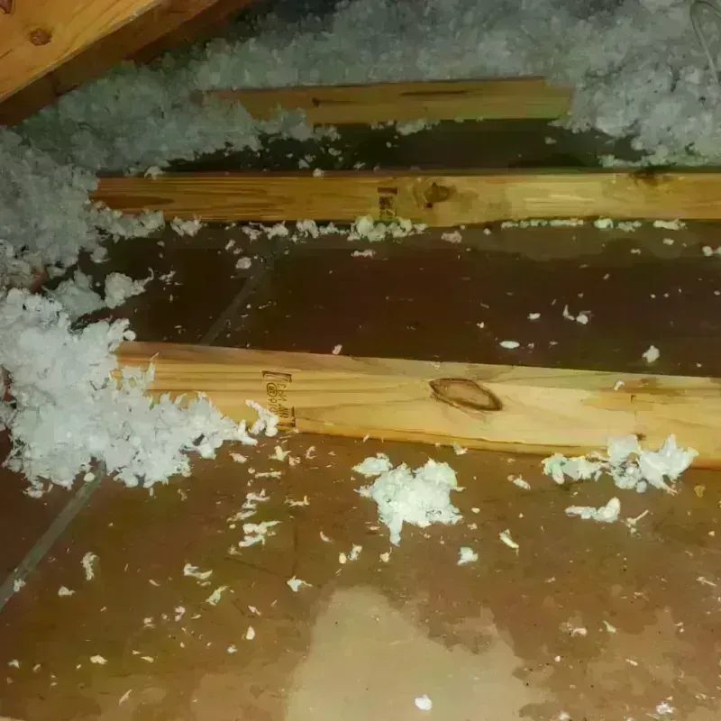 Attic Water Damage in Milford, NJ