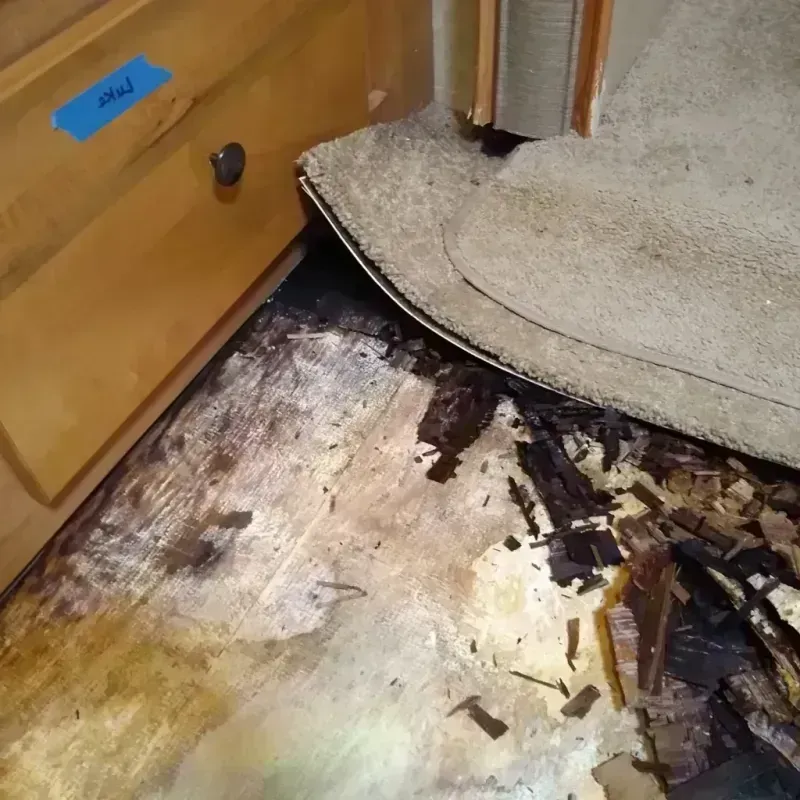 Wood Floor Water Damage in Milford, NJ